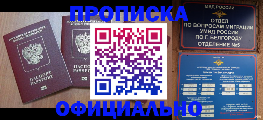 найти адрес прописки в Краснозаводске